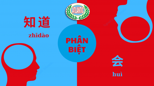 PHÂN BIỆT 知道/会 /zhidao, hui/ TRONG TIẾNG TRUNG