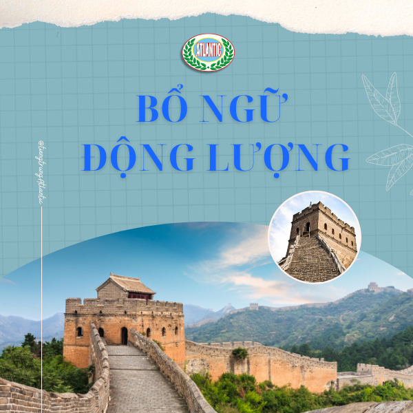 WEB ảnh bìa (600 x 600 px)_1