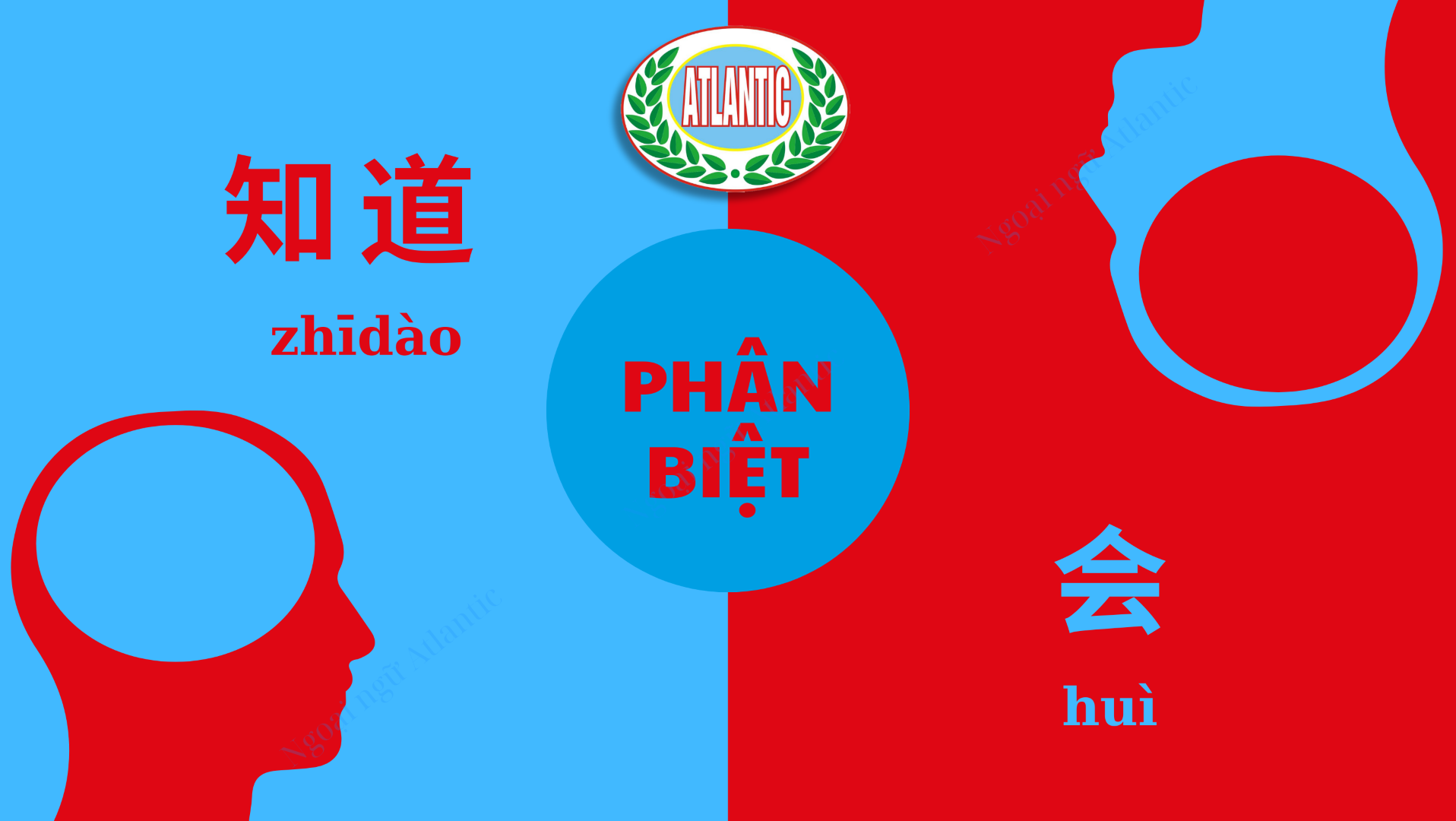 Phân biệt (Ảnh bìa Facebook)_1